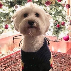 Meet your Posher, Tanvi